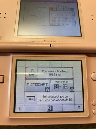 Juego Nintendo DS Princess on ice