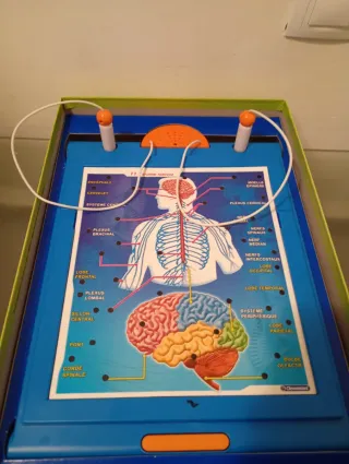 Juego Clementoni Quiz Cuerpo Humano