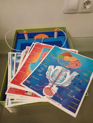 Juego Clementoni Quiz Cuerpo Humano