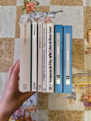Lote 7 libros clásicos universales e hispánicos