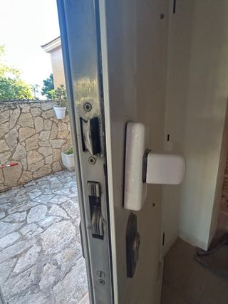 Puerta de seguridad blanca. Sin el león 350€