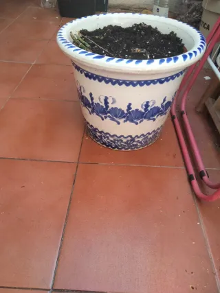 Macetero de cerámica azul y blanco