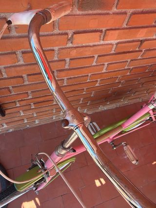Bicicleta Vintage 20” Rosa y Verde
