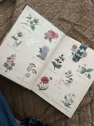 Fairy Oak El Secreto De Las Gemelas