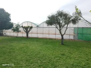 Parcela rustica con vivienda