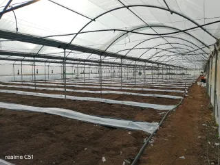 Parcela rustica con vivienda