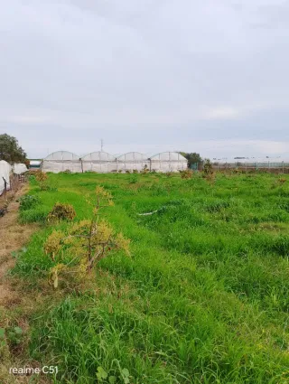 Parcela rustica con vivienda