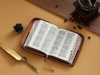 Biblia tamaño compacta Reina-Valera 1960 piel