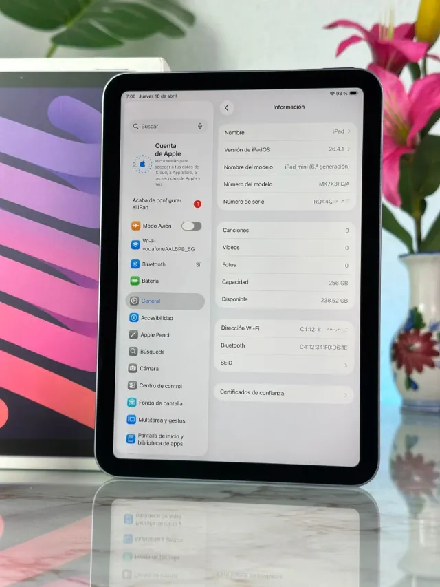 GARANTIA iPad Mini 256gb