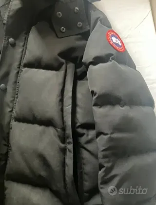 Canada Goose