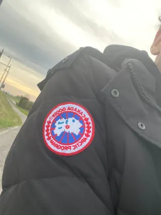 Canada Goose