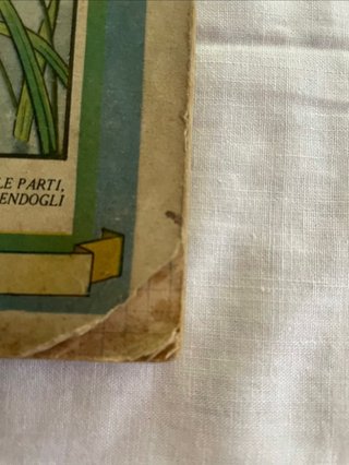 Collezionismo registro bottega Trieste 1942-44