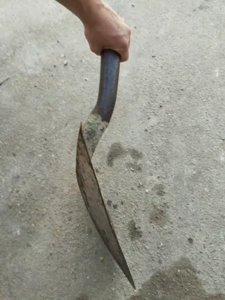 Pala Bellota