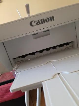 Impresora Canon Pixma MG 2550 (Fallo B200)