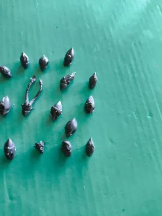 Bits cabezas elfos silvanos Warhammer