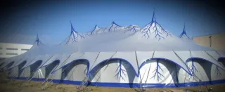 Carpa para eventos, cumpleaños, fiestas, bodas...