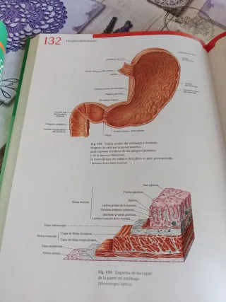 Sobotta Atlas de Anatomia Humana - Tomo 1 (Span...