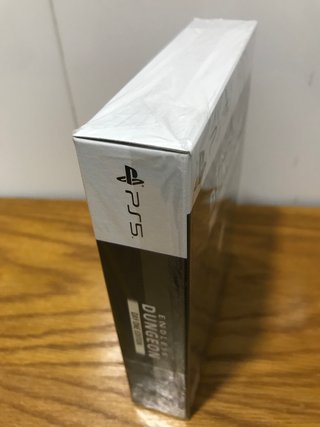 Endless Dungeon Day One Edition PS5 PRECINTADO