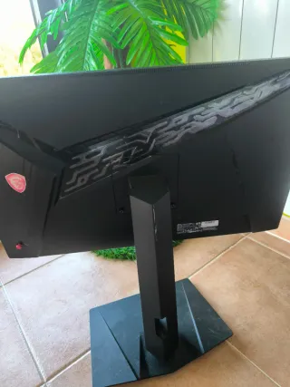 Monitor MSI