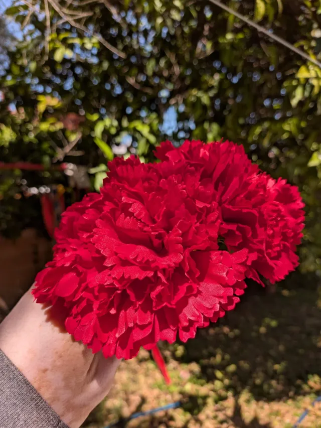 Ramillete 2 claveles rojos