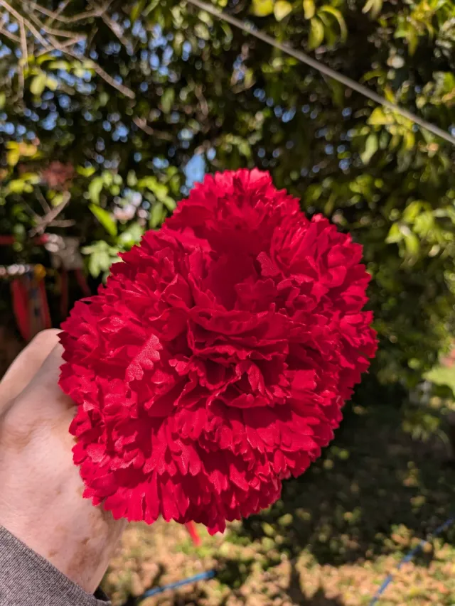 Ramillete 2 claveles rojos