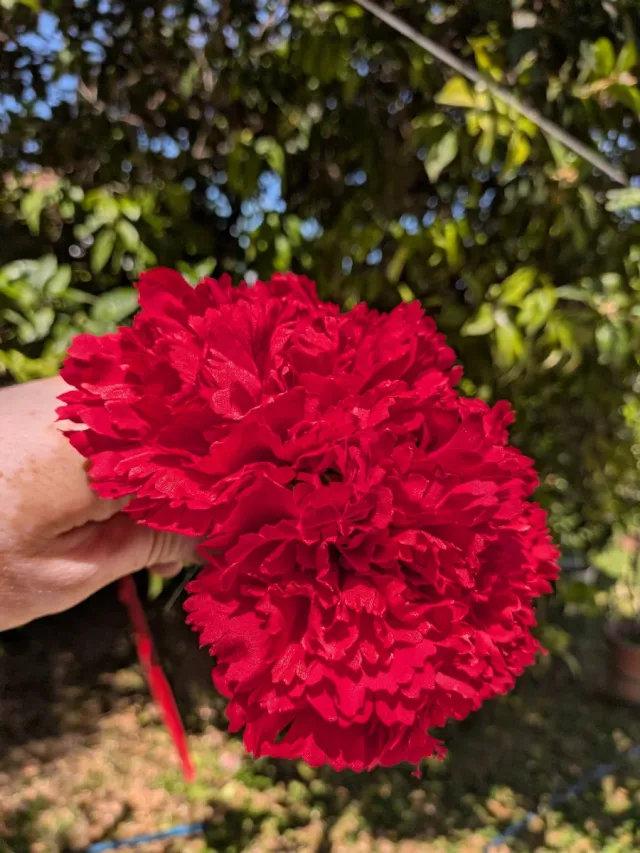 Ramillete 2 claveles rojos