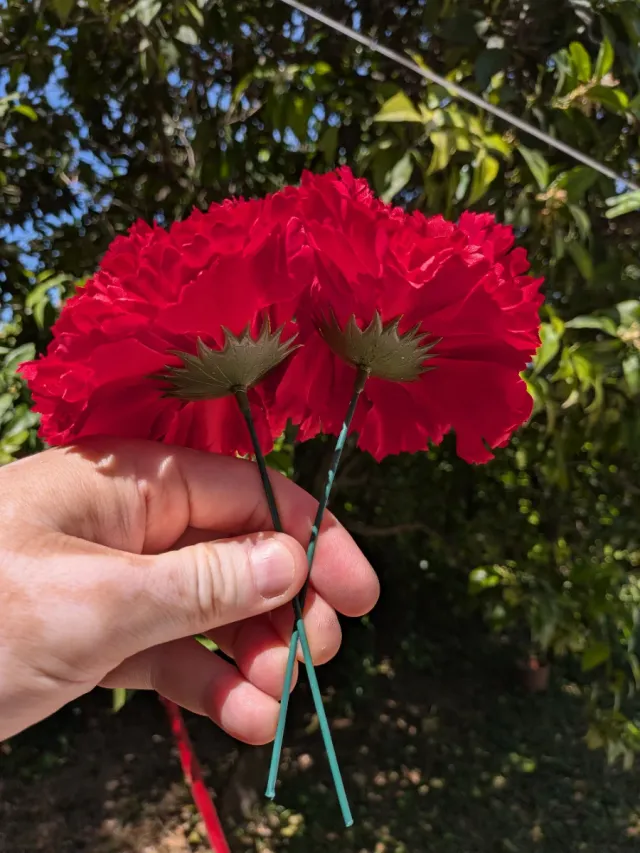 Ramillete 2 claveles rojos