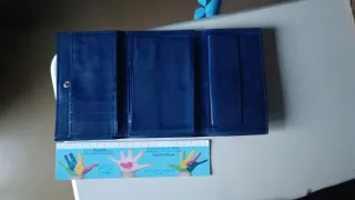 Portafoglio Samsonite Blu vintage