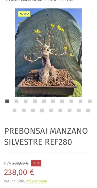 Prebonsai Manzano