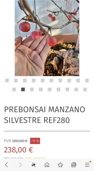 Prebonsai Manzano