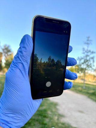 iPhone 11 64GB Giallo