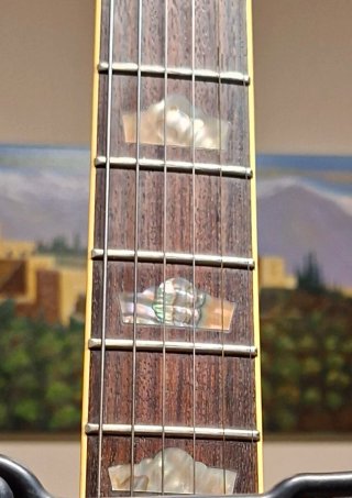 Guitarra Fenix jazz