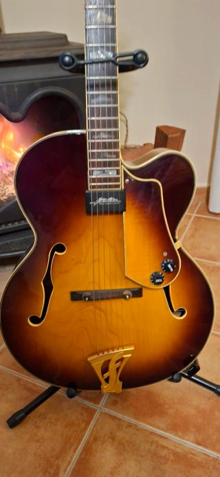 Guitarra Fenix jazz