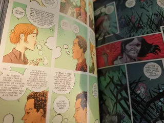 Cómic La Ficción de David Rubín