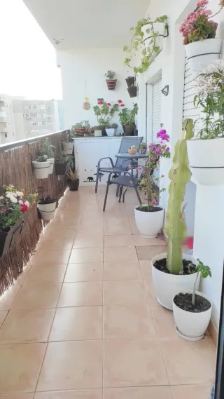 Alquiler piso playa victoria Cádiz