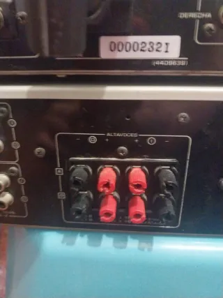 Amplificador Vangyard AE-4800 y Sintonizador TE-50