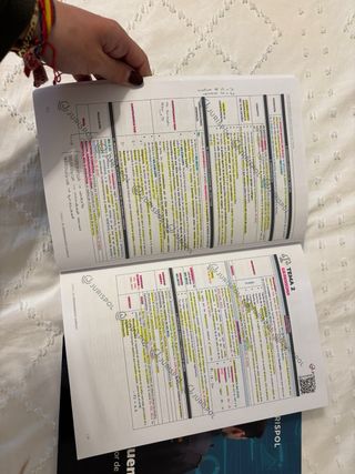 Libro esquemas Escala Ejecutiva Policía Nacional