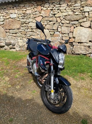 Kawasaki ER6N