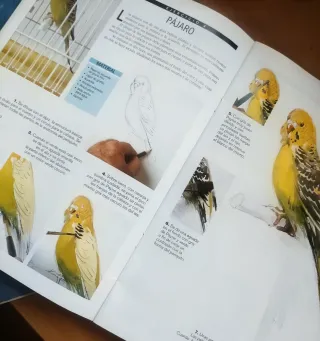 Dos libros de como pintar acuarelas.