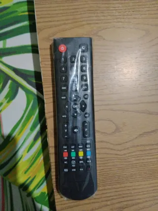 Televisor TD Systems Negro