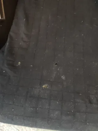 Asiento Sparco Coche Negro