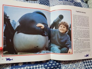 Free Willy
