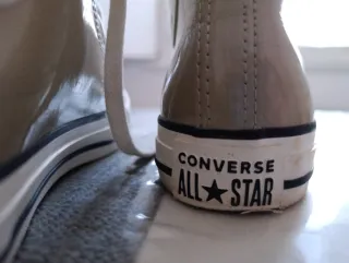 Converse Chuck Taylor Piel All Stars
