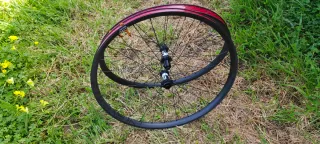 Ruedas 29er Dt Swiss 350 + Nextie Omega Supreme