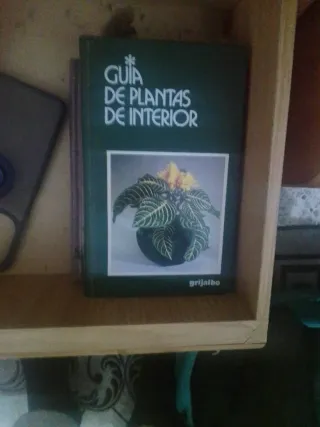 Colección cromos fútbol