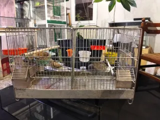 Gabbia per canarini e cocorite