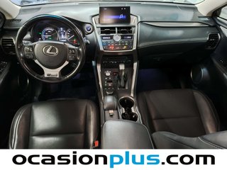 Lexus NX 300h Executive Navigation 4WD 145 kW (197 CV)