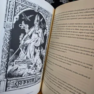 El libro rojo de Jung Bernardo Nante