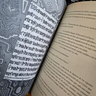 El libro rojo de Jung Bernardo Nante
