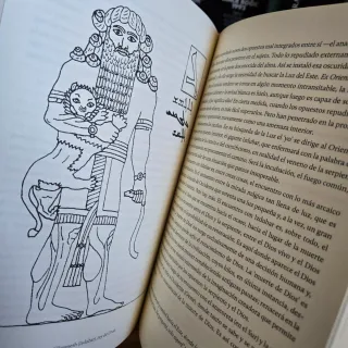 El libro rojo de Jung Bernardo Nante